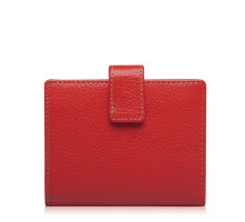 SIMPLE K00510 (red)